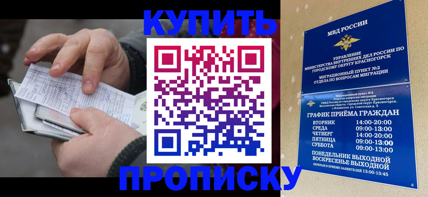 временная регистрация недорого в Лосино-Петровском